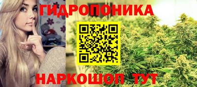 ПСИЛОЦИБИНОВЫЕ ГРИБЫ Среднеуральск