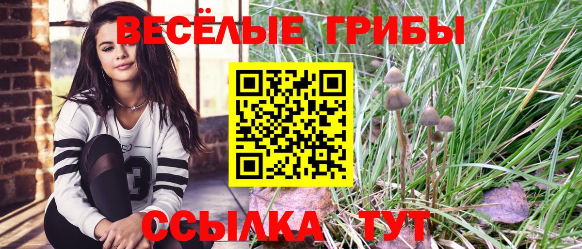 Галлюциногенные грибы ЛСД Петропавловск-Камчатский