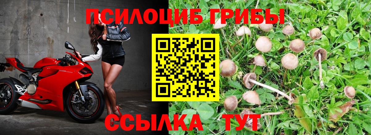 Псилоцибиновые грибы MAGIC MUSHROOMS  Вход с VPN  Петропавловск-Камчатский 